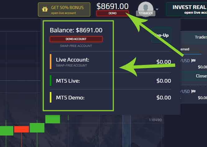 Fears of a Professional Trading Pocket Option